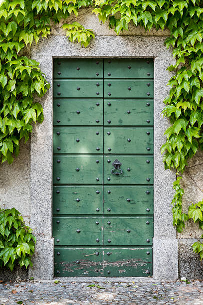 istock Old Green Garden Door 532110130
