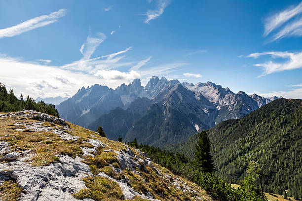 plaetzwiese, suedtirol - bergwiese foto e immagini stock