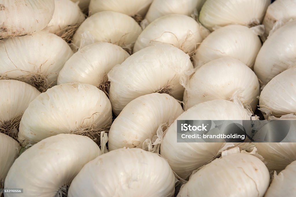 Italian Cipollini Onions A row of fresh Cipollini onions in a farmers market in Como, Italy Como - Italy Stock Photo