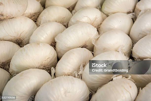 Italian Cipollini Onions Stock Photo - Download Image Now - Como - Italy, Farm-To-Table, Farmer's Market