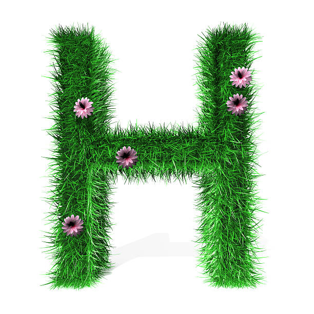 istock Letter H of Grass And Flowers 532110716