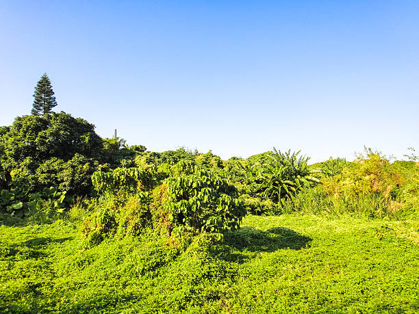 istock Lamma island nature. Hong Kong 532111794