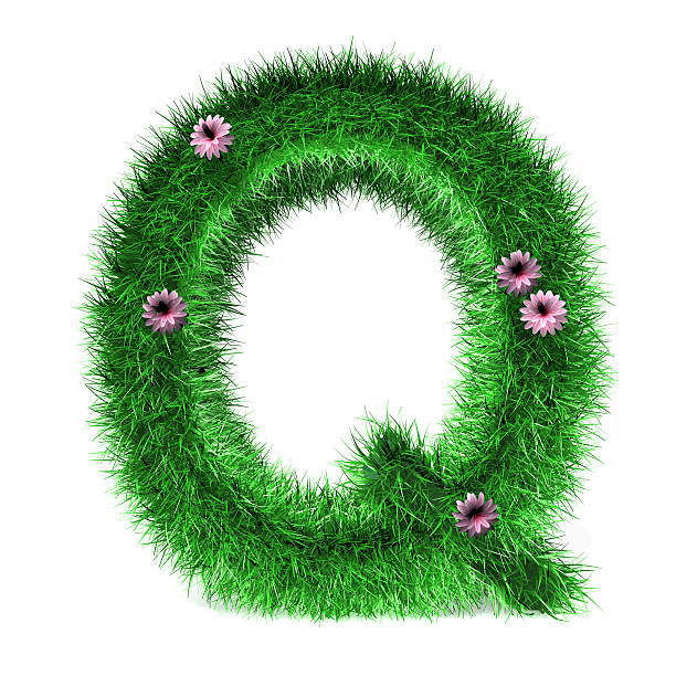 istock Letter Q of Grass And Flowers 532112082
