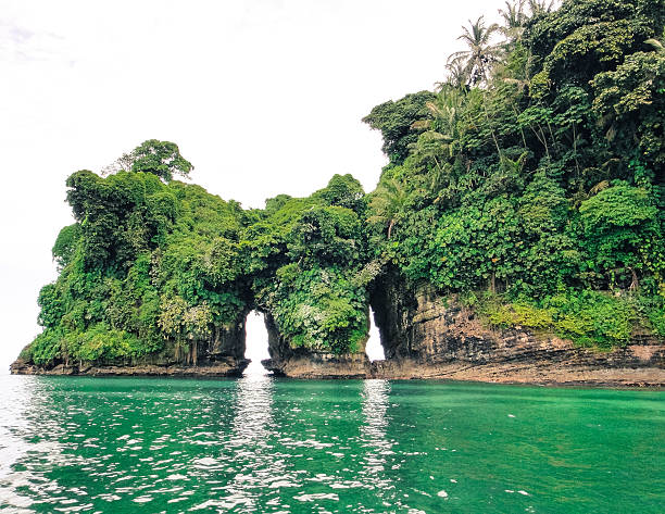 istock Island of birds. Bocas del Toro 532112342