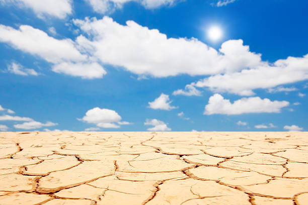 Large field of baked earth and sky Large field of baked earth and sky lake bed stock pictures, royalty-free photos & images