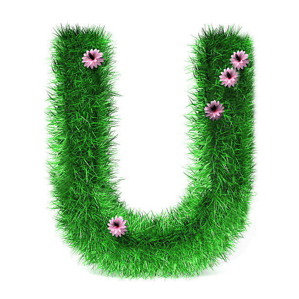 istock Letter U of Grass And Flowers 532112792