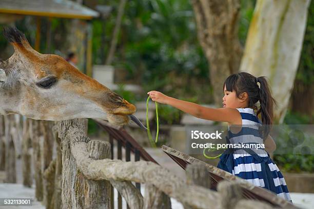 Kleines Mädchen Fütterung Eine Giraffe Im Zoo Stockfoto und mehr Bilder von Zoo - Zoo, Kind, Kindheit