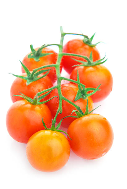 istock Closeup of cherry tomatoes on the vine 532113181