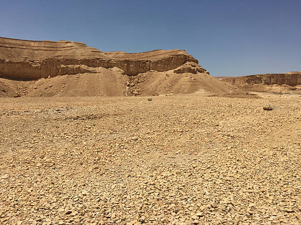 Desert dry cracked dirt earth sand sun summer hot