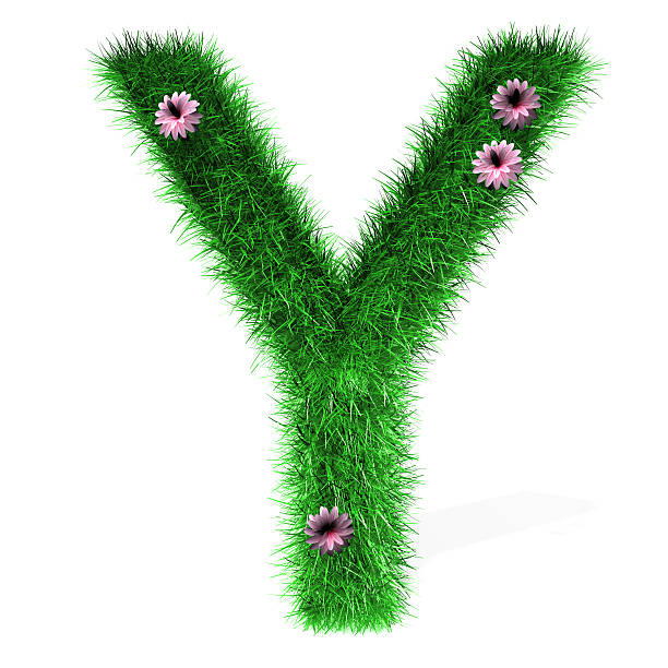 istock Letter Y of Grass And Flowers 532113672