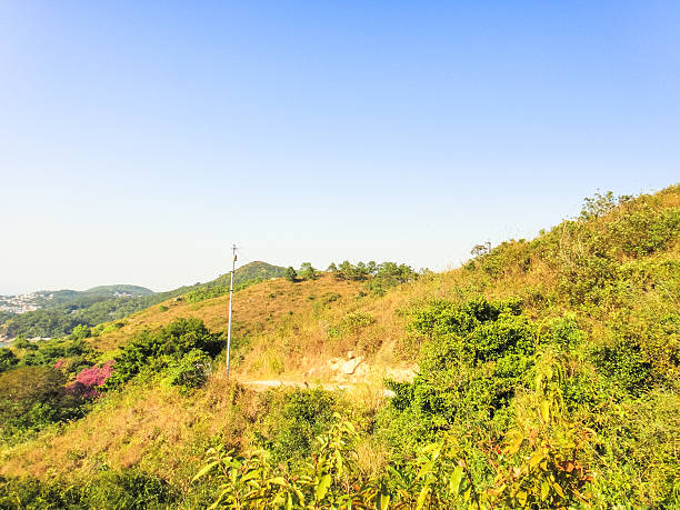 istock lamma island nature. hong kong 532114080