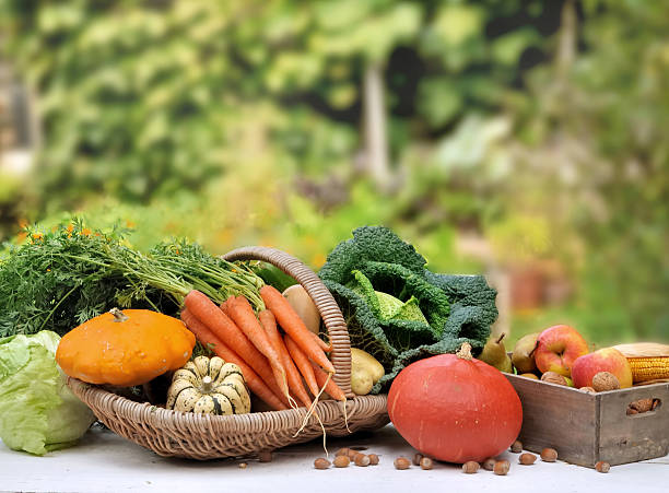istock vegetables and fruit in garden 532114298
