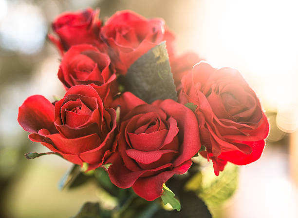 bouquet of roses for st. valentine
