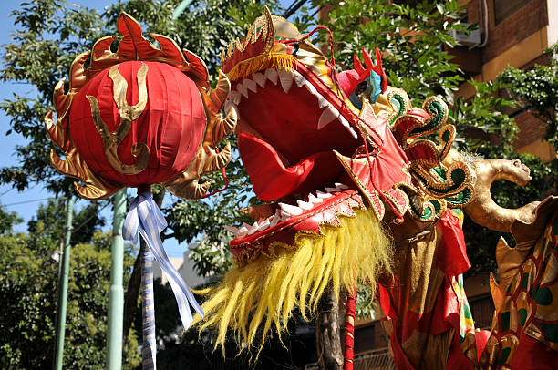 istock Argentine Chinese Dragon 532114651