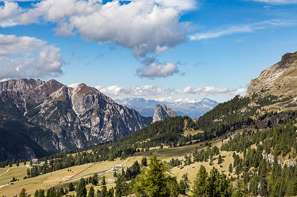 plaetzwiese, suedtirol - bergwiese - fotografias e filmes do acervo