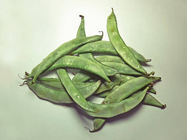 Pods of Papdi Beans, Dolichos lablab
