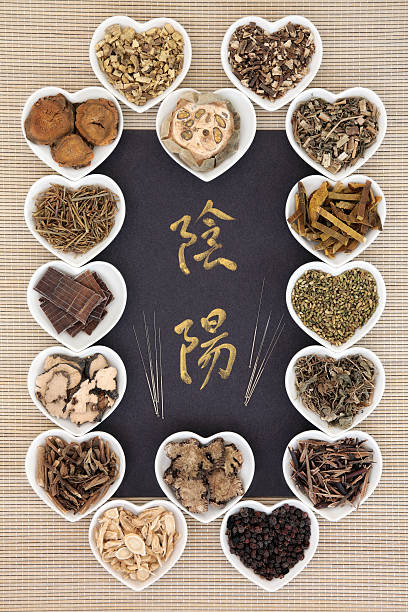 yin und yang chinesische medizin - acupuncture chinese medicine medicine chinese script stock-fotos und bilder