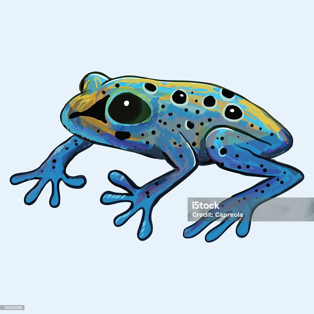 Poison Frog Vector Illustration Stock Illustration - Download ...