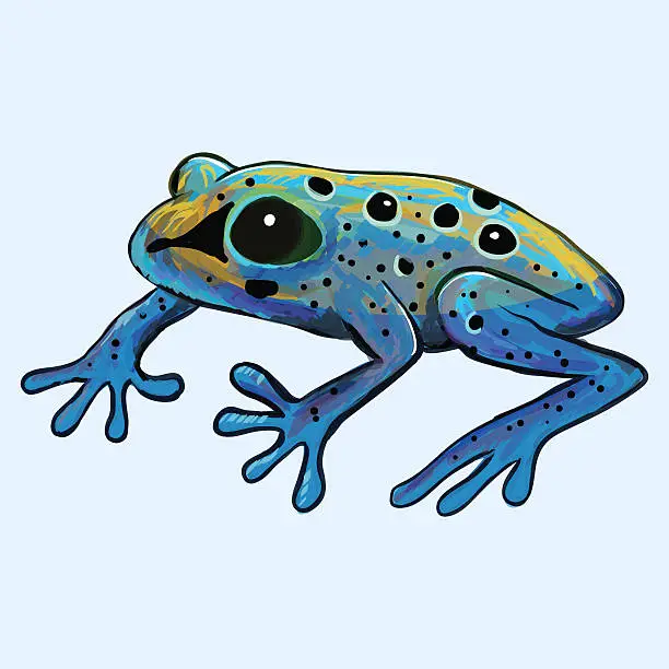 Vector illustration of Poison frog vector illustration