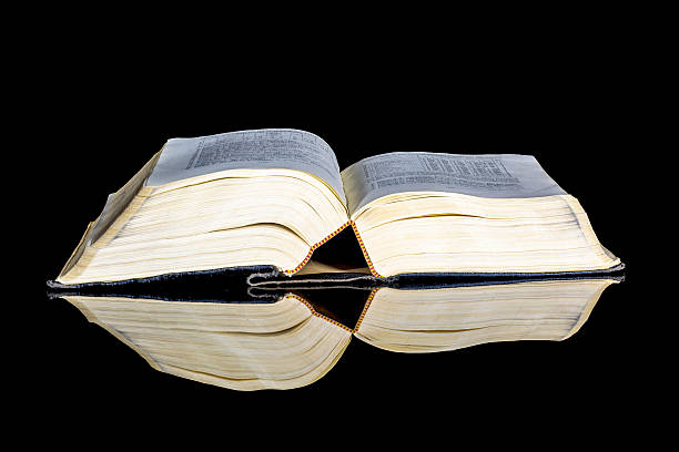 istock Yellowed pages of an old book that is ipen 532116363