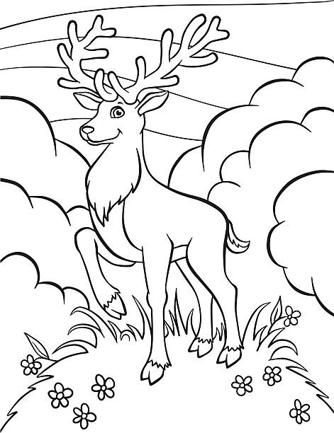 Little cute deer stands on the clearing and smiles. Coloring pages. Animals. Little cute deer stands on the clearing and smiles. how to draw a school building clip art stock illustrations