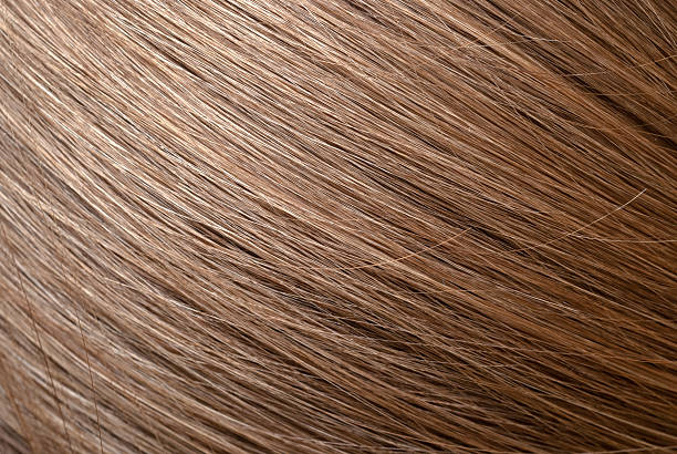 istock Straight light brown hair 532118268