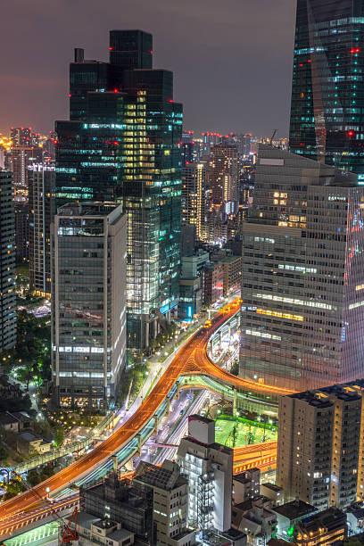 istock Tokyo high rises building at night 532119052