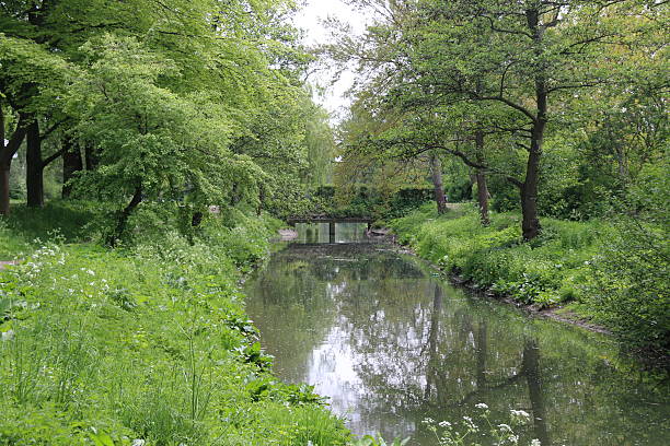 istock River with small bridge and lots of green 532127746