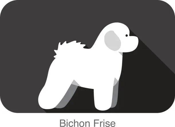 Vector illustration of Bichon Frise dog breed flat icon design