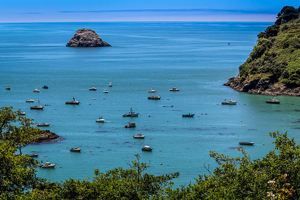 istock Trinidad, California Harbor 532130673