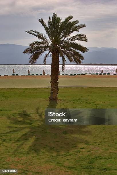 Lawn And Palm Tree Stock Photo - Download Image Now - 2015, Bay of Water, Beach