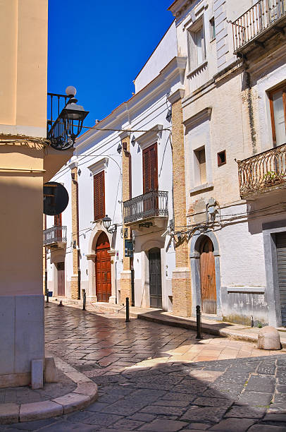 istock Alleyway. San Severo. Puglia. Italy. 532132025