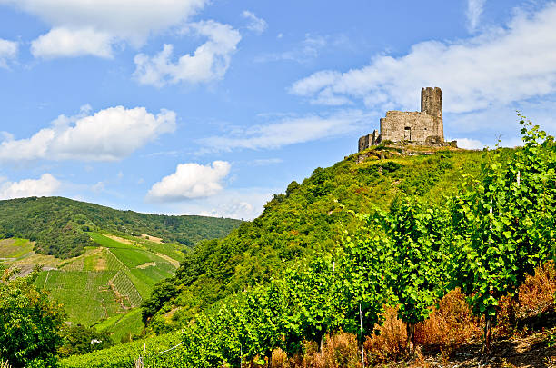 Moselle Valley Germany: Landshut Castle near Bernkastel Kues Landshut Castle near Bernkastel Kues - Moselle valley wine region in Germany marienburg stock pictures, royalty-free photos & images