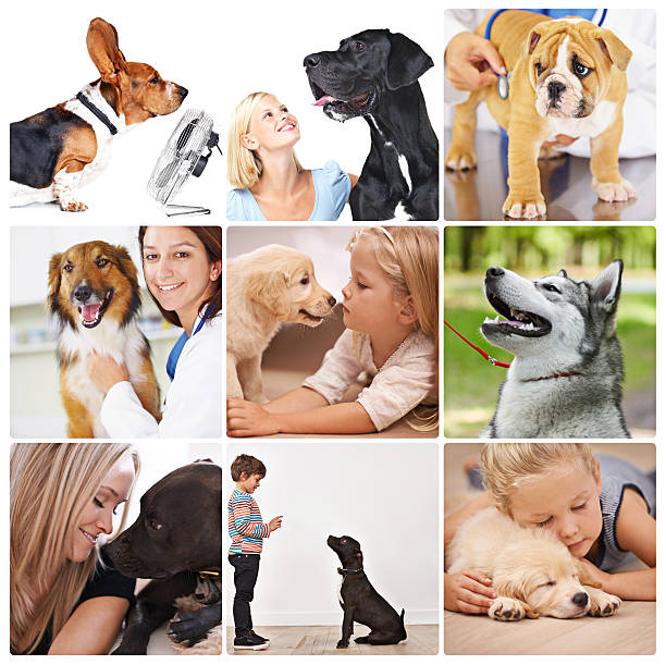 Composite image of people and dogs