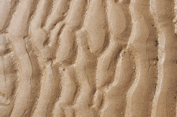 istock Close up of sand beach 532133700