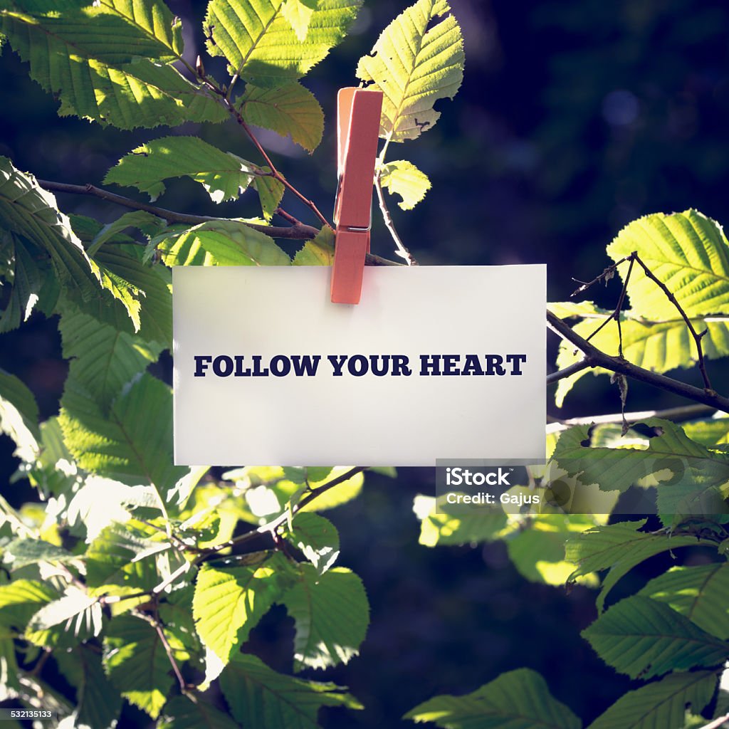 Follow your heart Follow your heart motivational message on a white card hanging by a clothes peg from a green leafy branch outdoors, toned retro effect. 2015 Stock Photo