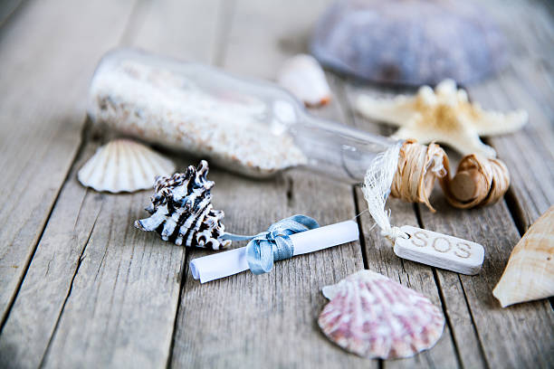 istock seashells frame on wooden background bottle with a message. 532135709