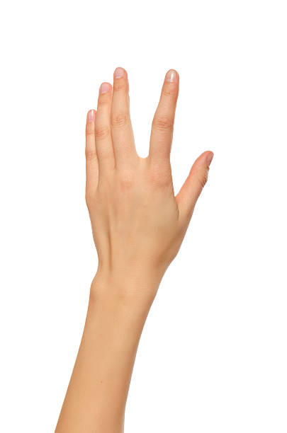 istock Beautiful woman hand holding or stretches. 532136127