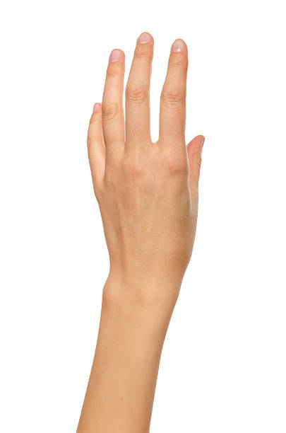 istock Beautiful woman hand holding or stretches. 532136183