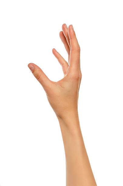 istock Beautiful woman hand holding or stretches. 532136193