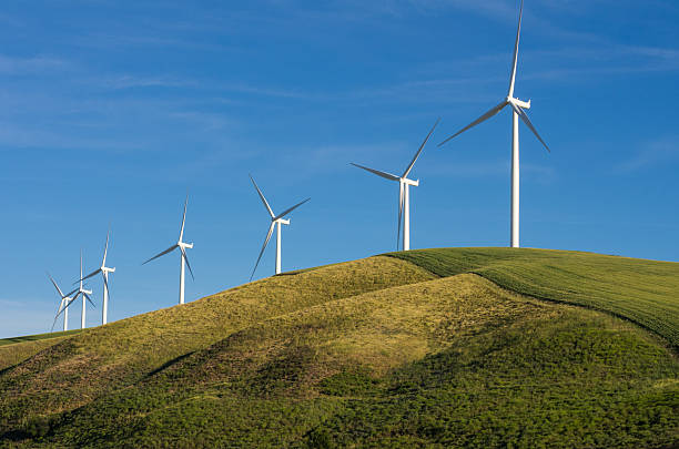 istock Row of wind turbines on hill 532147525