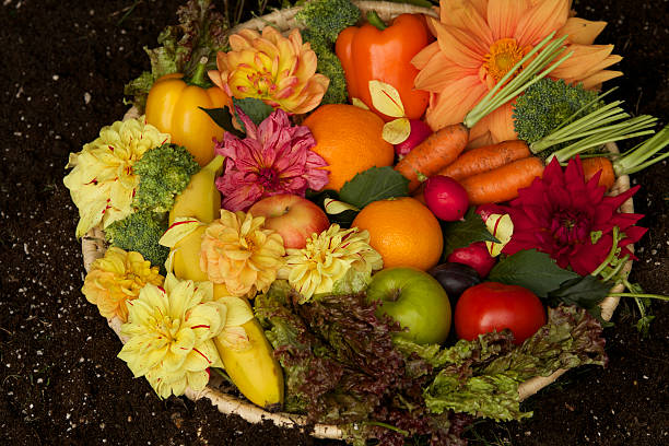 istock Food display in garden with fruit, vegtables, flowers 532147571