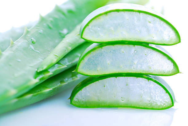 istock Aloe vera fresh leaf plant . 532150039