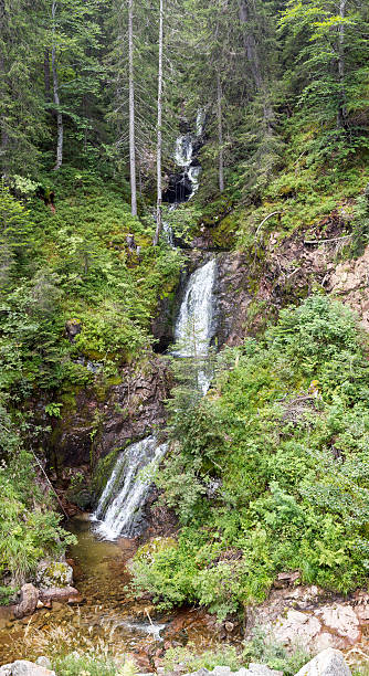 istock Waterfall and small river in Rhodopes Mountain 532150187