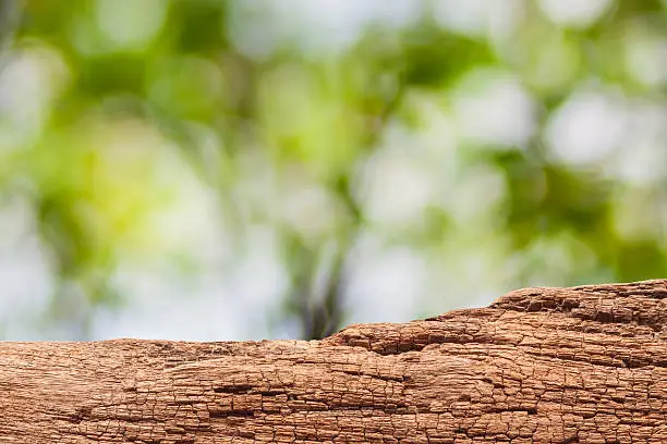 wooden board on nature blur green abstract background