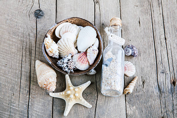 istock seashells frame on wooden background bottle 532153293