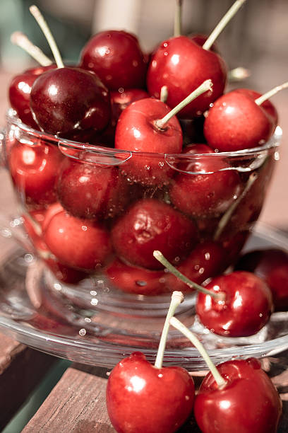 Summer red cherries in a tea cup. stock photo