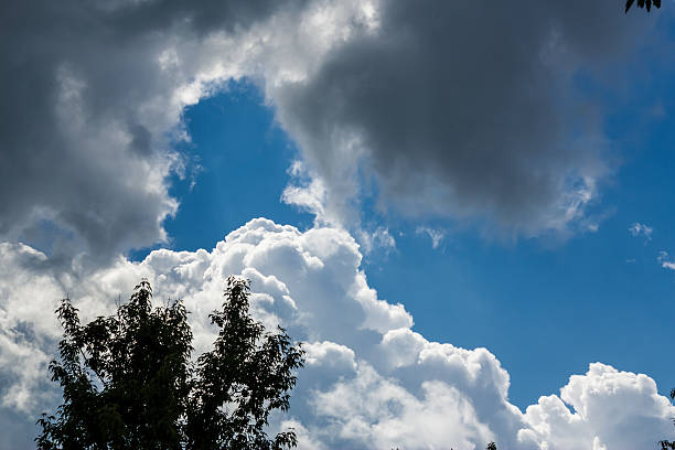 ファンタスティックルーム雲に木のシルエット - lightning storm natural disaster cloud ストックフォトと画像