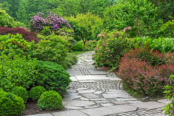 istock Fragment of a japanese garden 532168217