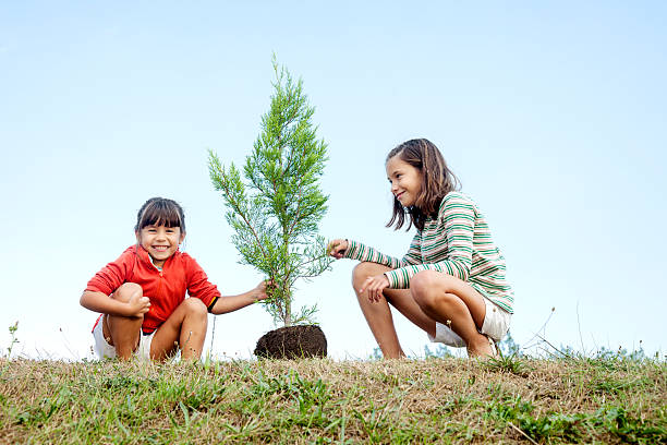 sisters planter un arbre - tree grass family human relationship family photos et images de collection